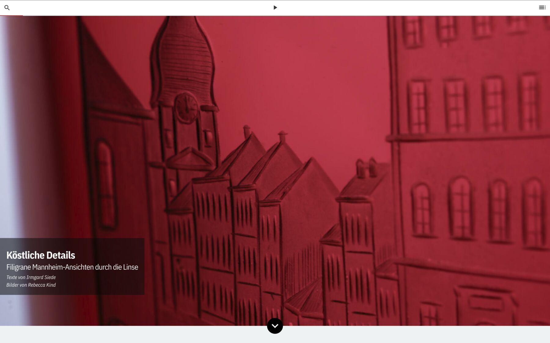 Köstliche Details: Filigrane Mannheim-Ansichten durch die Linse. Texte von Irmgard Siede. Bilder von Rebecca Kind.