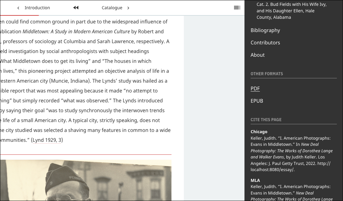 A screenshot of a web page focused on a detail of a sidebar menu that has a heading Other Formats and two links below it. One says PDF, and the other says EPUB.